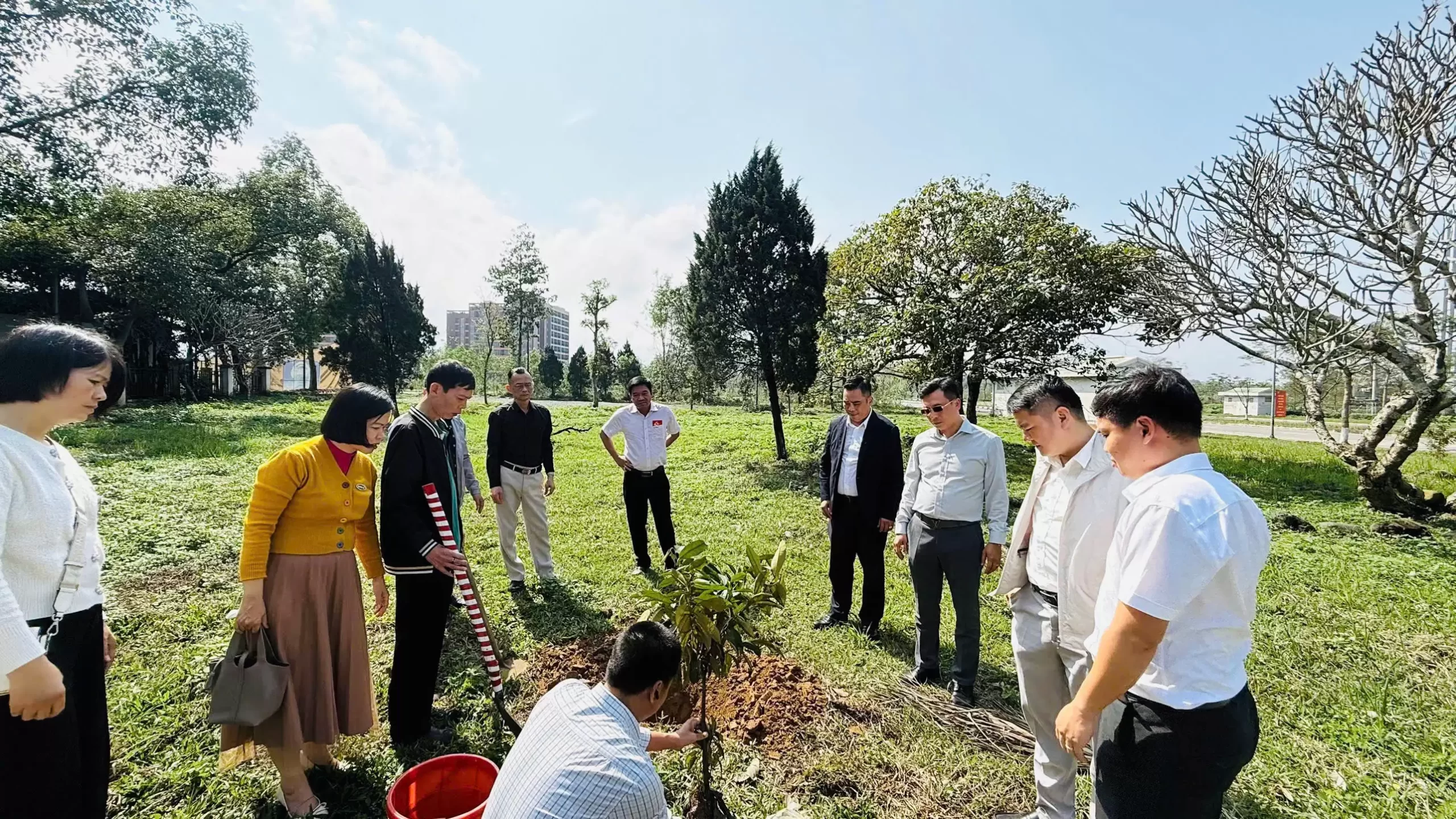 Trung tâm Dịch vụ và Hỗ trợ doanh nghiệp hưởng ứng Lễ phát động “Tết trồng cây đời đời nhớ ơn Bác Hồ”